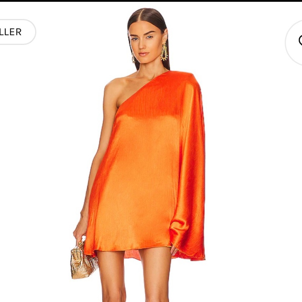 Revolve mini dress!